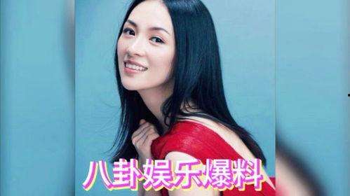娱乐明星团吃瓜,明星团大吃瓜，幕后故事一网打尽