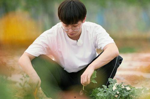 娱乐吃瓜君彭昱畅,娱乐吃瓜界的“瓜王”