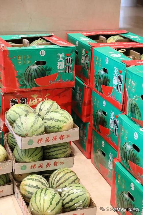 贵州娱乐吃瓜事件,揭秘网络舆论的风云变幻