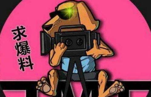 吃瓜娱乐小队,揭秘娱乐圈幕后故事