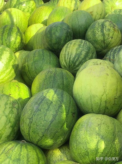 当前娱乐吃瓜,揭秘明星幕后故事