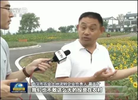 快乐吃瓜娱乐新闻视频在线观看,热门吃瓜娱乐新闻视频在线观看指南