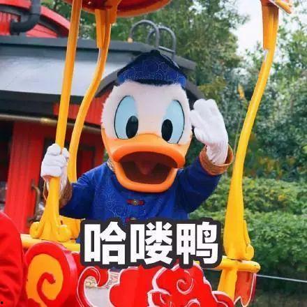 吃瓜娱乐鸭,揭秘娱乐圈幕后故事