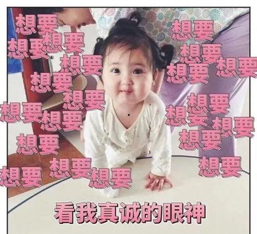 娱乐吃瓜酱小纸条