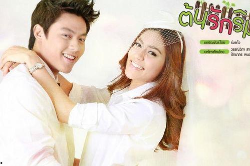 男女主娱乐圈吃瓜的小说