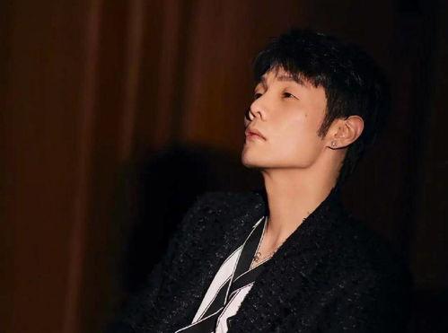 娱乐圈吃瓜陈姓男星都有谁,揭秘那些年我们追过的星